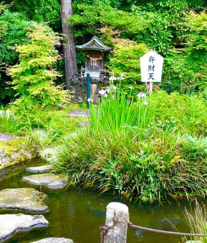 大聖寺の弁天池