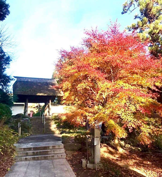 大聖寺の紅葉と四脚門