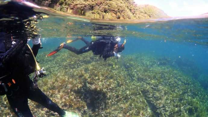 浅い海で練習しながらダイビングに挑むバディの様子