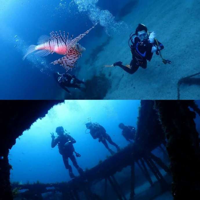 スキューバダイビングで海底の魚と触れ合ったり沈んだ建造物を眺めたりする様子