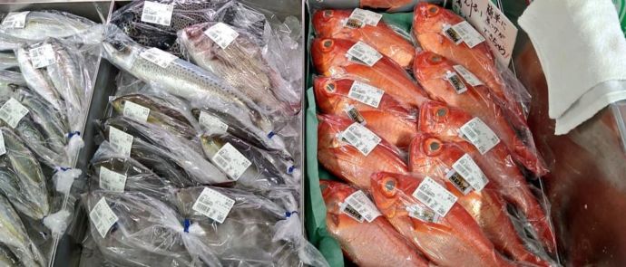 稲取漁港直売所こらっしぇに並ぶ鮮魚