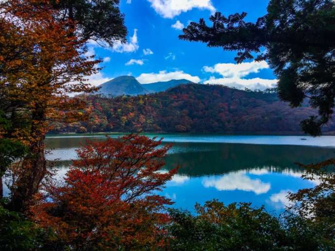 六観音御池周辺の風景