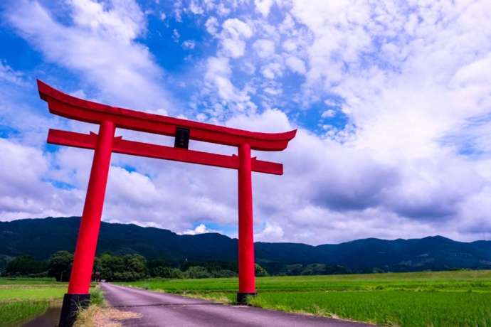 菅原神社の鳥居。背景に一面の田んぼと山