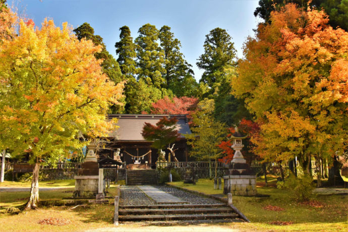 明智町の八王子神社の秋の風景