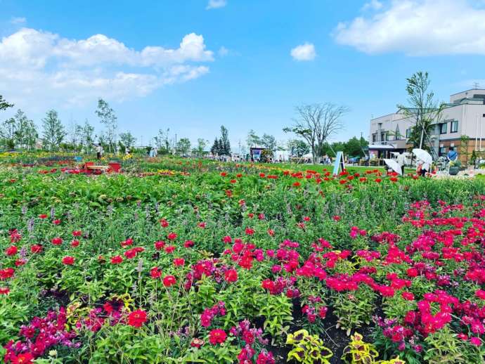 花の拠点はなふるのガーデンの風景