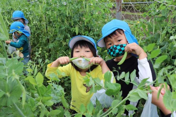 元気に野外学習に取り組む子どもたち