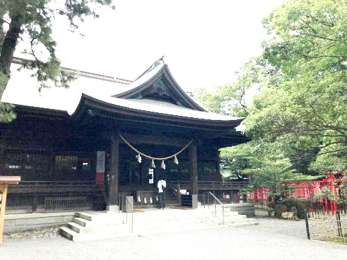 浜松八幡宮と境内の森