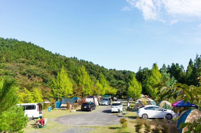 登米森林公園のキャンプ場