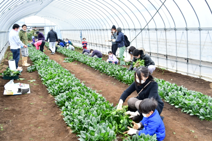 富士見市の子育て支援