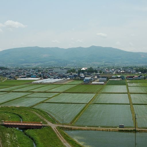 深川市の田園風景