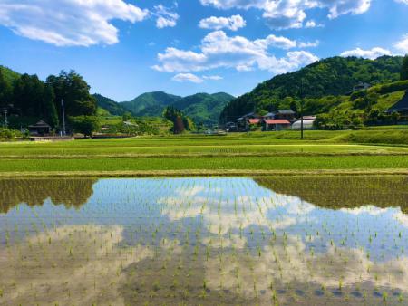 福知山市三和エリアの農村風景