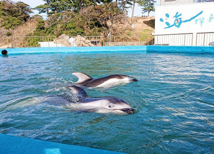 越前松島水族館