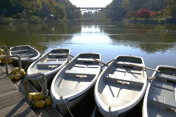 千葉県船橋市のアンデルセン公園のボート