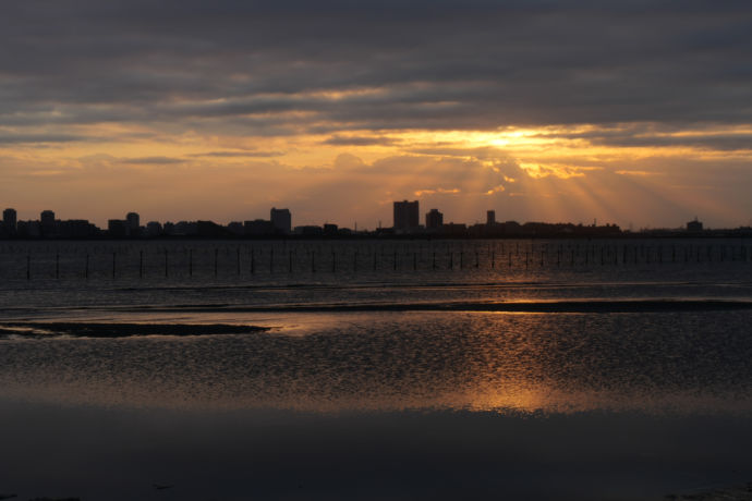 ふなばし三番瀬海浜公園の夕暮れ