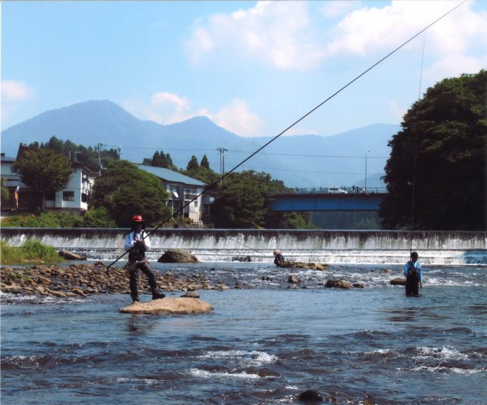 舟形町の鮎釣りの様子