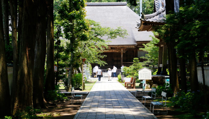 土佐国分寺の参道