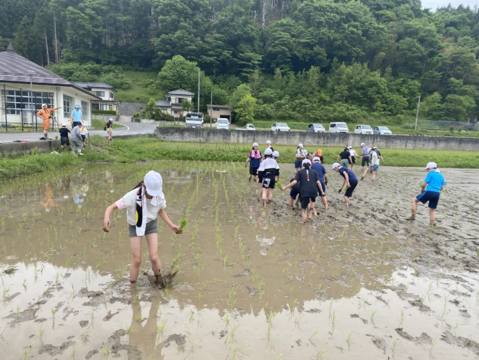 古殿町の田植え教室の様子