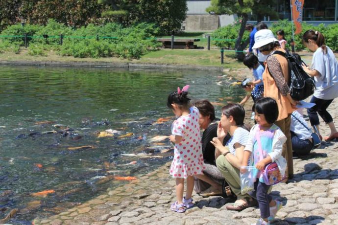 親に付き添われた子どもたちが鯉のえさやりをしている様子