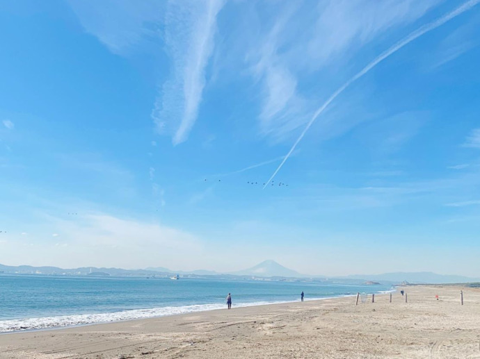 海岸線からの眺め