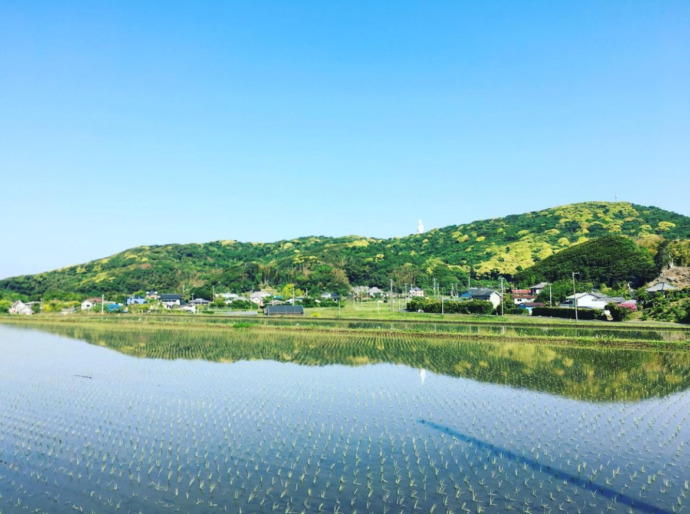 富津市の田園風景