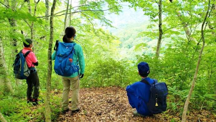 森林の分校ふざわの癒しの森散策体験の様子