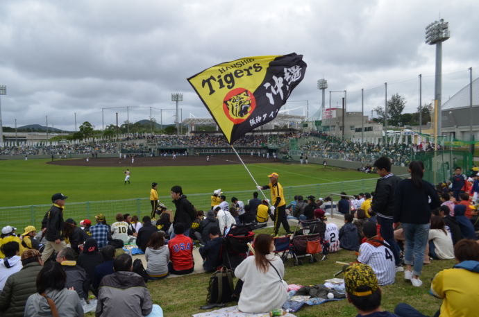 沖縄県宜野座村での阪神タイガース春季キャンプの様子