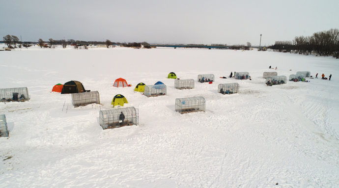 とれた小屋ふじい農場でワカサギ釣りをしている様子