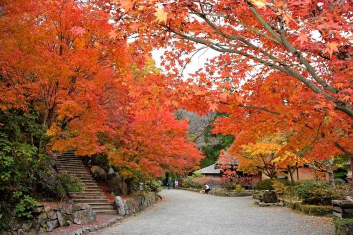 五家荘平家の里の施設内紅葉と古民家の風景