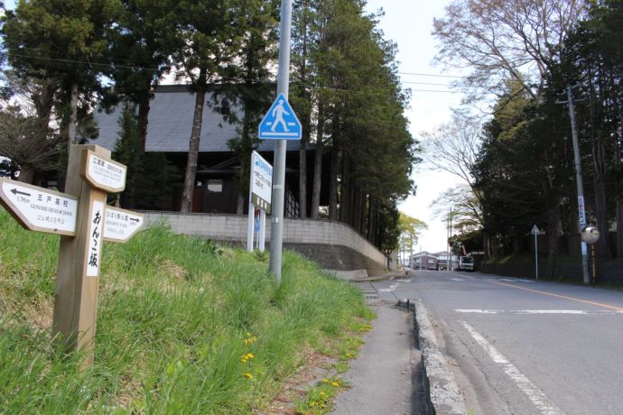 青森県五戸町のおんこ坂