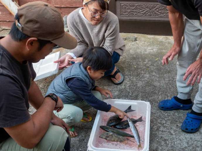 五島市の魚のお裾分けの様子