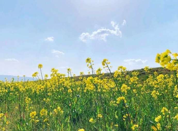 「ヨーローヒョウタン工房」周辺で見られる景色