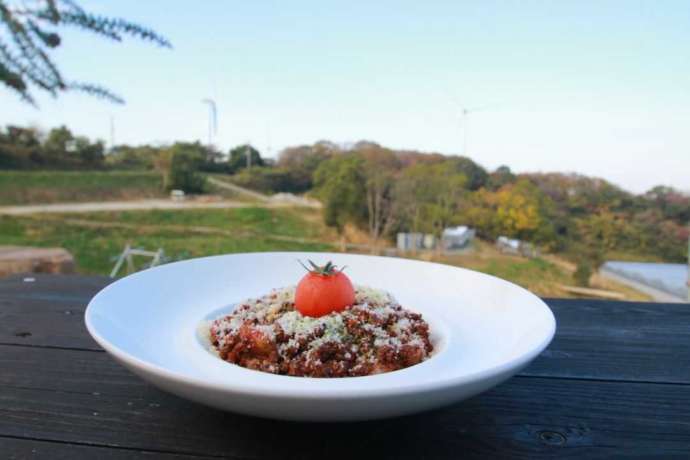 グリナリウム淡路島のレストランで提供されているトマトパスタ