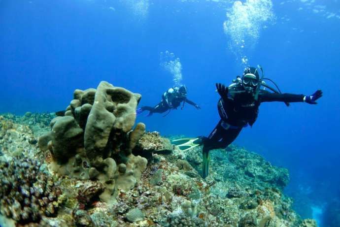 鹿児島県にある「GTダイバーズ沖永良部島」での体験ダイビングの様子