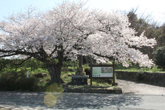 篠原国幹戦没の地