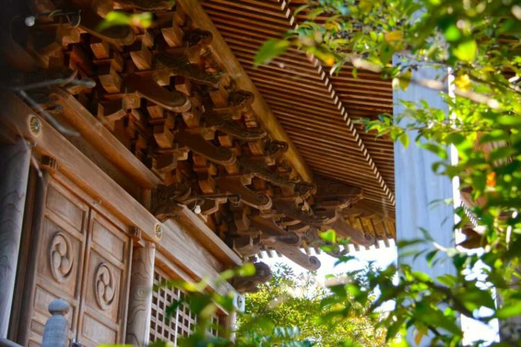 愛媛県八幡浜市にある總鎮守八幡神社の御本殿