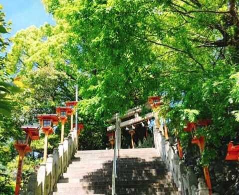 愛媛県八幡浜市にある總鎮守八幡神社の境内