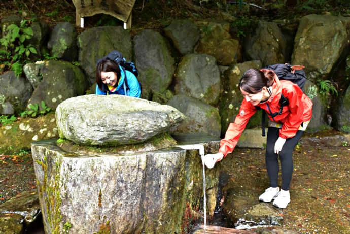 水汲み場のひとつ葛葉の泉