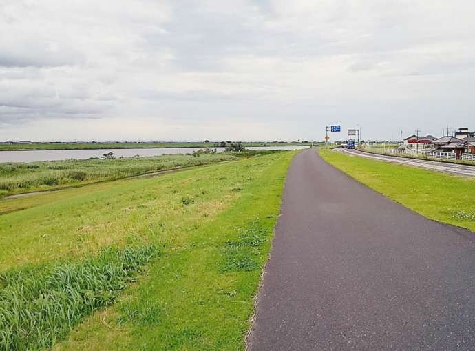 「道の駅 発酵の里こうざき」付近の利根川沿いサイクリングロード