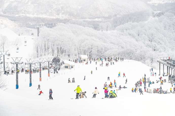 長野県北安曇郡にある「エイブル白馬五竜スキー場」のパノラマコースを滑る人たち