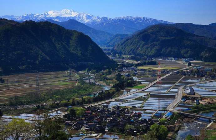 白山市の田園風景の奥に白山を望む