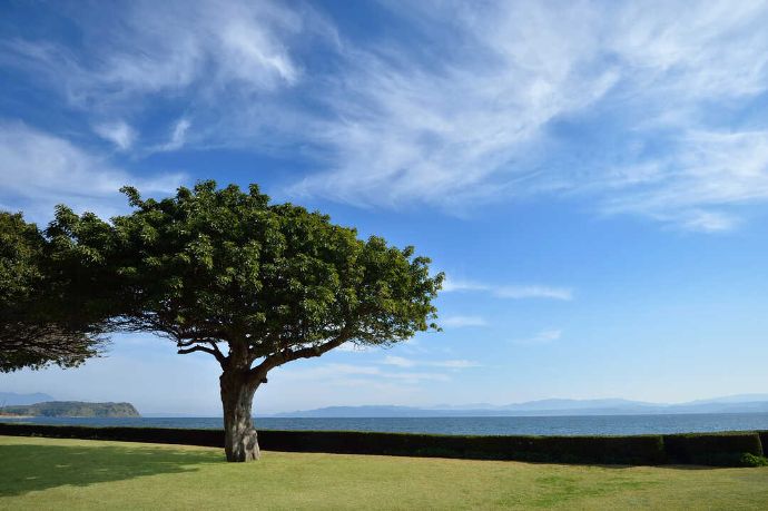 青空が広がる白水館のロケーションフォト