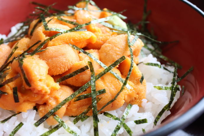 北海道浜中町のウニ丼