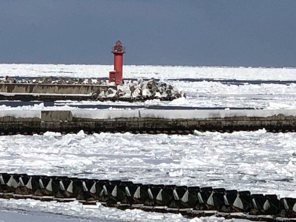 北海道浜頓別町の頓別漁港流氷の写真