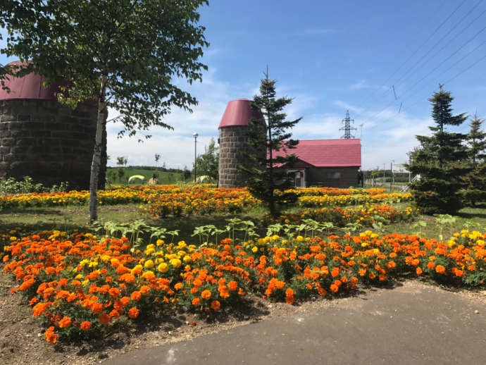 ルルマップ自然公園ふれらんど入口風景