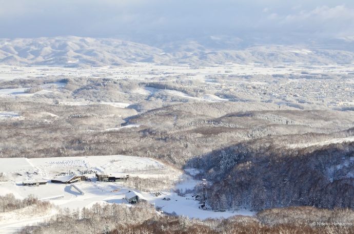 ニセコHANAZONOスキー場付近の景色