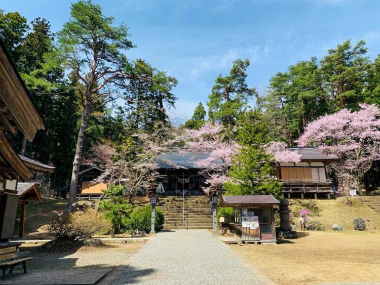 春の大津神社境内の様子