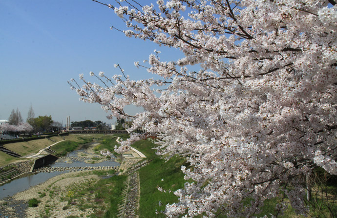 喜瀬川