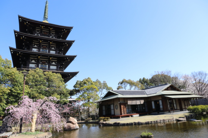 「野添北公園」内の茶室「蓬生庵」