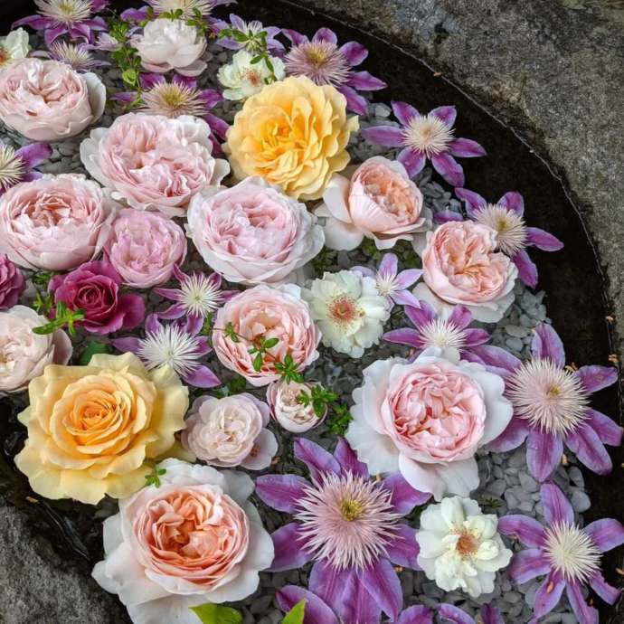 発寒神社の色あざやかな花手水