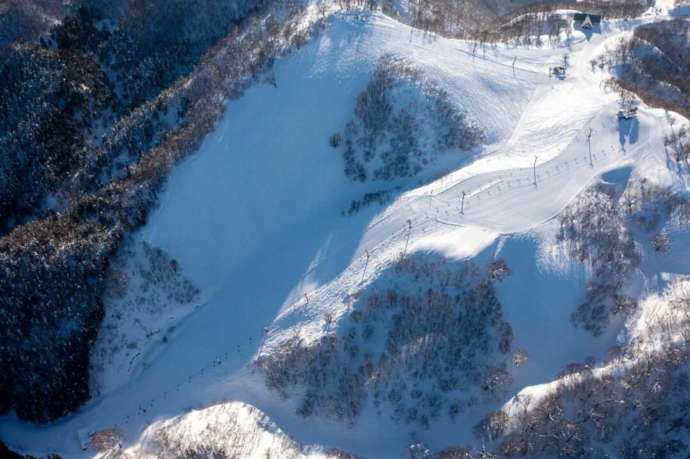 ひだ流葉スキー場にある山頂ゲレンデを上空から撮影した様子